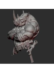 Rhin Buff | Busto de Resina 1/10