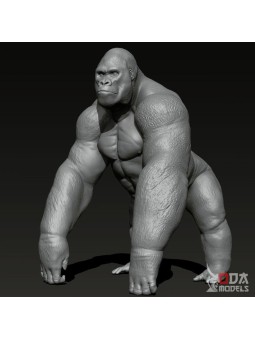 Gorilla