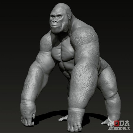 Gorilla