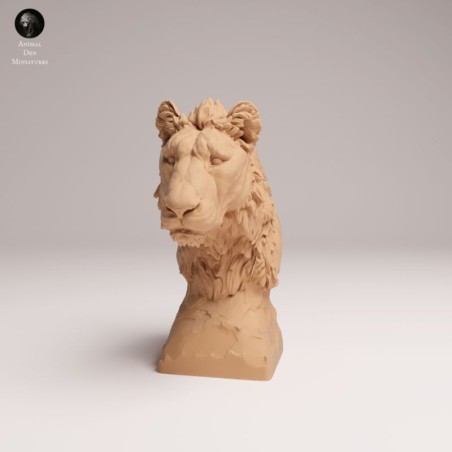 Young Lion Bust - 1/12 & 1/6 Scales | Oda Models