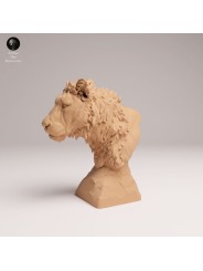 Young Lion Bust - 1/12 & 1/6 Scales | Oda Models