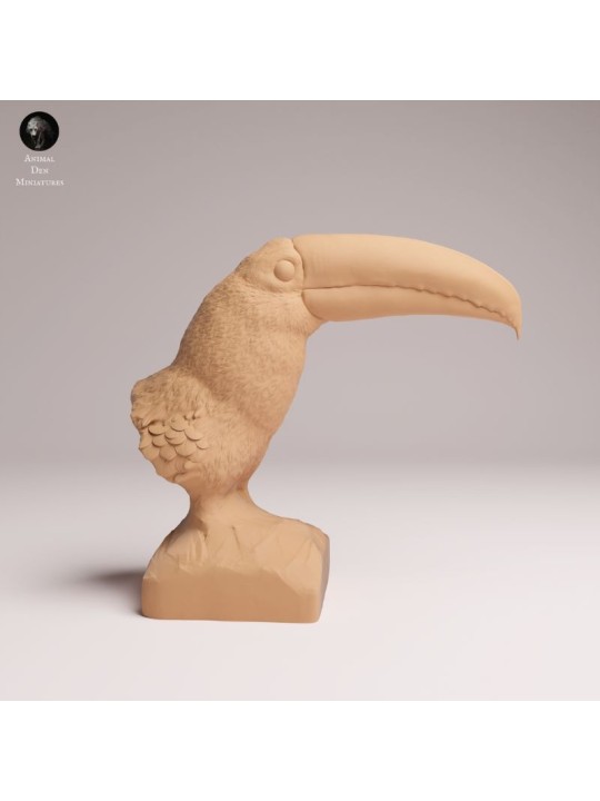 Toucan Bust | Tropical Wildlife Resin