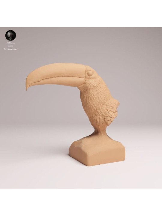 Busto de Tucán | Fauna Tropical en Resina
