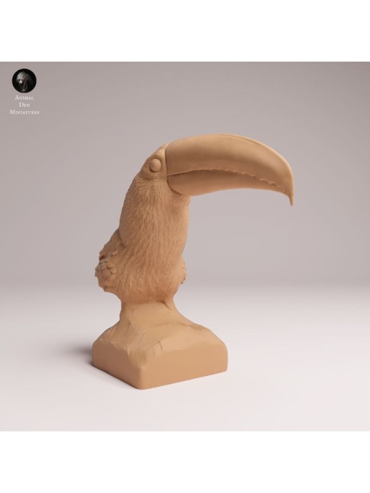 Busto de Tucán | Fauna Tropical en Resina
