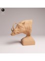 Babirusa Bust | Exotic Wildlife Resin