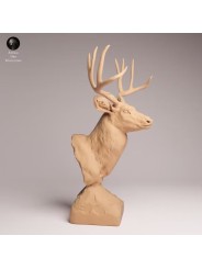 Mule Deer Bust | Wildlife Resin