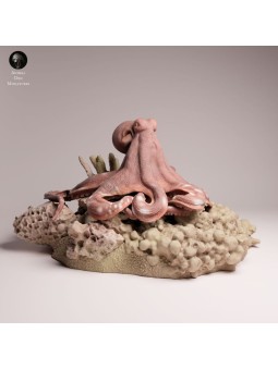 Day Octopus on Rock | Marine Wildlife Miniature
