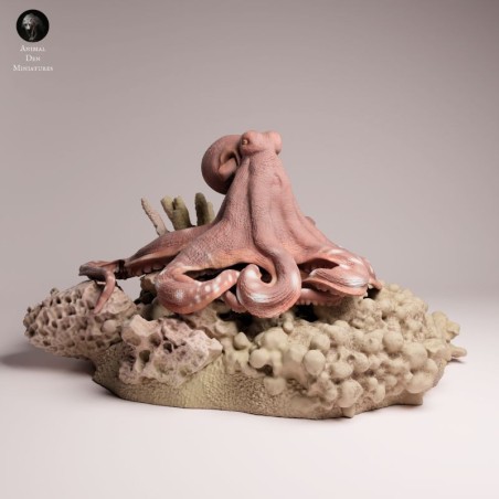 Day Octopus on Rock | Marine Wildlife Miniature
