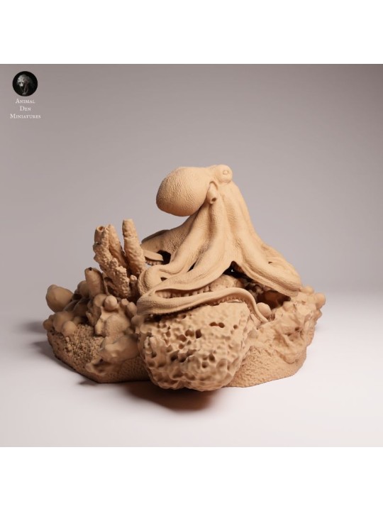 Day Octopus on Rock | Marine Wildlife Miniature