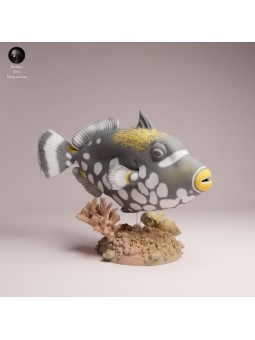 Clown Triggerfish | Resin Marine Scene