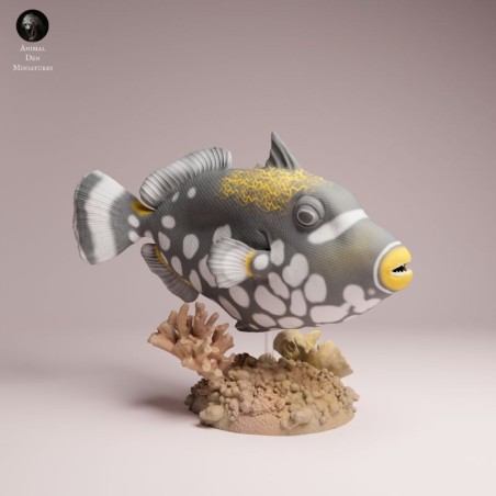 Clown Triggerfish | Resin Marine Scene