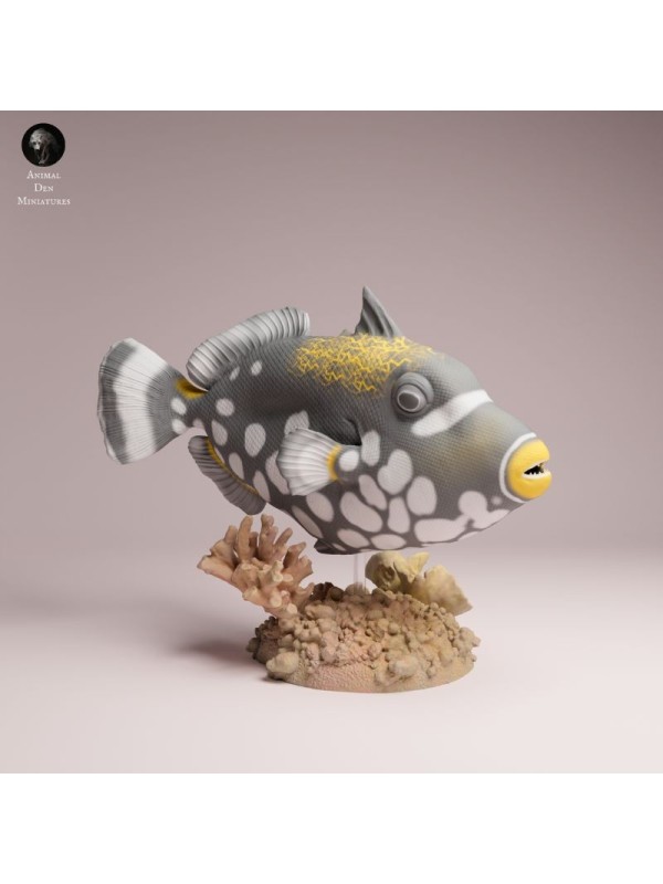 Clown Triggerfish | Resin Marine Scene
