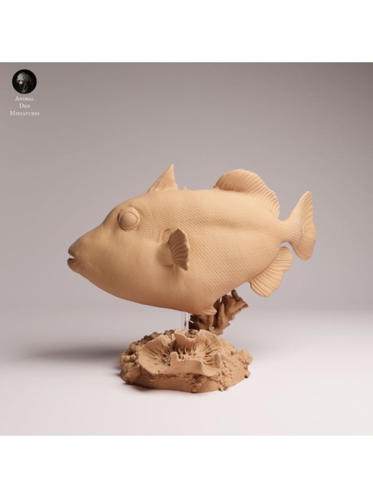 Clown Triggerfish | Resin Marine Scene