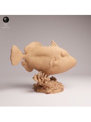 Clown Triggerfish | Resin Marine Scene