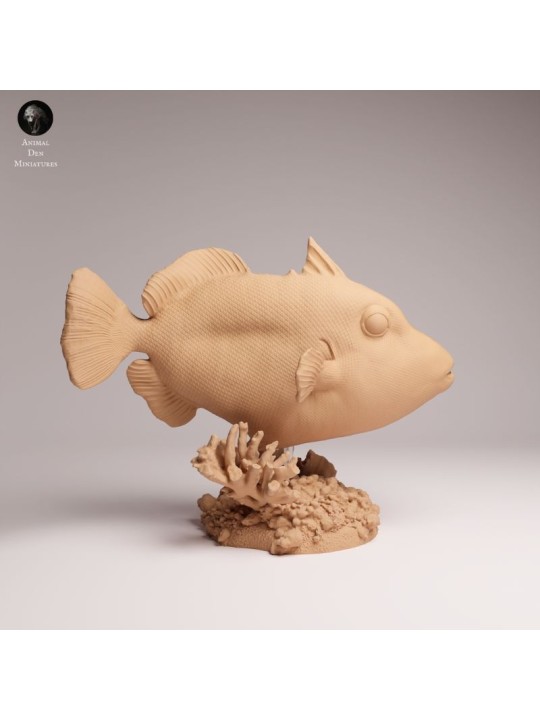 Clown Triggerfish | Resin Marine Scene
