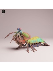 Camarón Mantis Pavo Real | Escena Marina en Resina