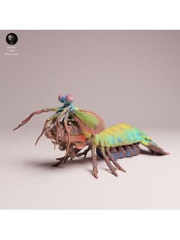 Camarón Mantis Pavo Real | Escena Marina en Resina