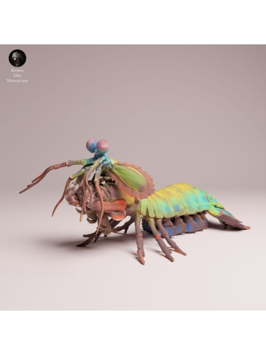 Peacock Mantis Shrimp | Resin Marine Scene