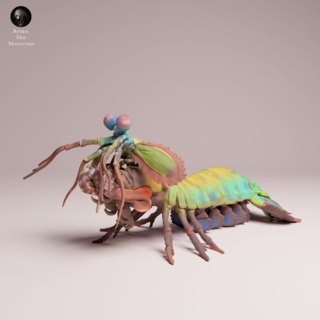 Peacock Mantis Shrimp | Resin Marine Scene