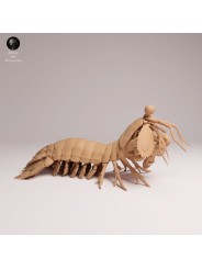 Peacock Mantis Shrimp | Resin Marine Scene