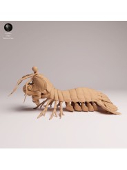 Peacock Mantis Shrimp | Resin Marine Scene