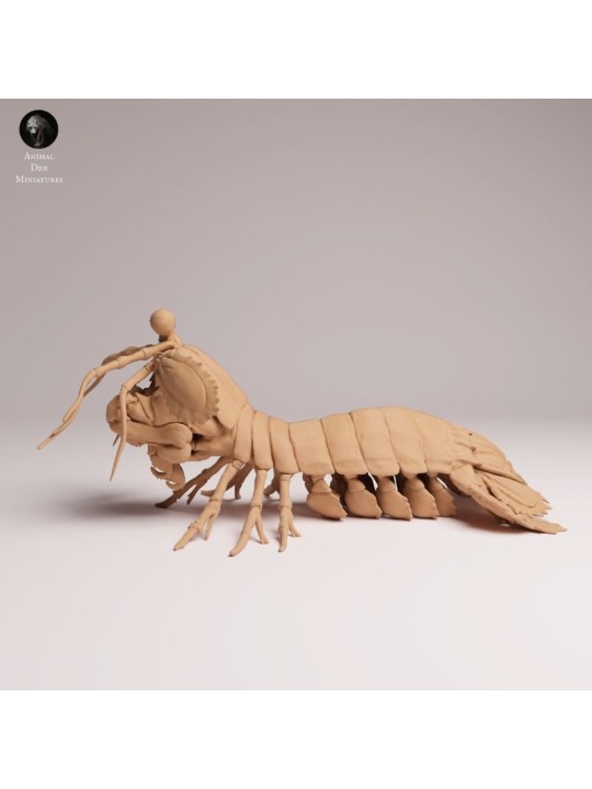 Peacock Mantis Shrimp | Resin Marine Scene