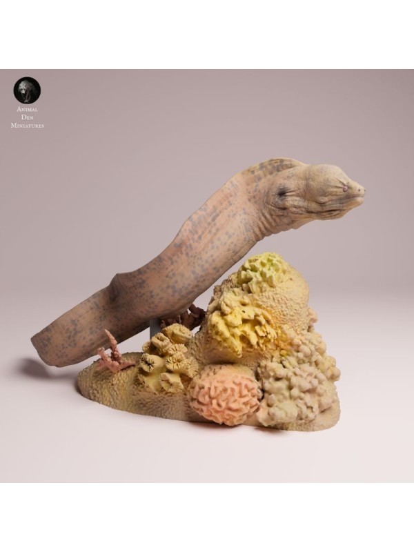 Anguila Moray Gigante Nadando en Resina | Miniatura Marina Realista