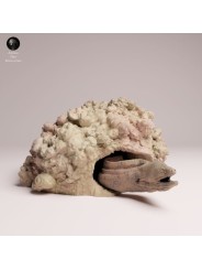 Giant Moray Eel in the Rocks | Resin Marine Miniature