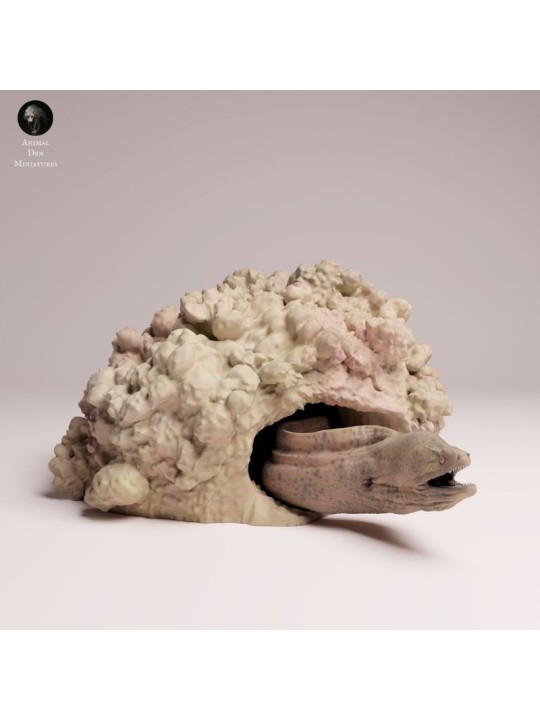 Anguila Moray Gigante en las Rocas | Miniatura Marina en Resina