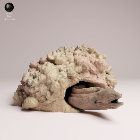 Anguila Moray Gigante en las Rocas | Miniatura Marina en Resina