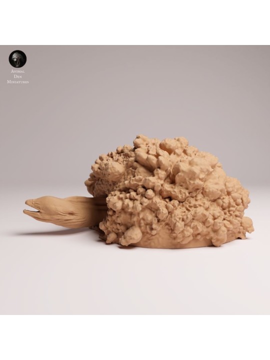 Anguila Moray Gigante en las Rocas | Miniatura Marina en Resina