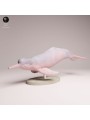 Amazon River Dolphin Resin Miniature | Freshwater Wildlife Figure