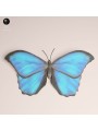 Blue Morpho Butterfly Resin Miniature | Tropical Insect Figure