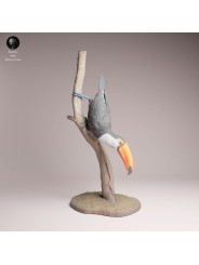 Toucan Resin Miniature | Realistic Tropical Bird Figure