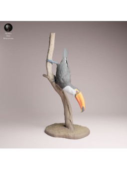 Toucan Resin Miniature | Realistic Tropical Bird Figure