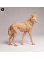 Lobo de Crin en Resina | Miniatura de Fauna Sudamericana Realista