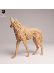 Lobo de Crin en Resina | Miniatura de Fauna Sudamericana Realista