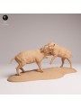 Pelea de Jabalíes Babirusa en Resina | Escena de Fauna Asiática