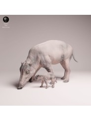 Babirusa with Piglet Resin Scene | Asian Wildlife Diorama