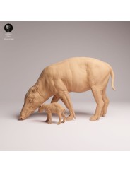 Jabalí Babirusa con Cría en Resina | Escena de Fauna Asiática