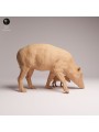 Babirusa with Piglet Resin Scene | Asian Wildlife Diorama