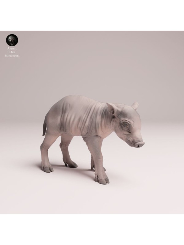 Babirusa Piglet Resin Miniature | Asian Wildlife Figure
