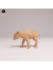 Babirusa Piglet Resin Miniature | Asian Wildlife Figure