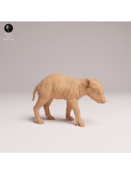 Babirusa Piglet Resin Miniature | Asian Wildlife Figure