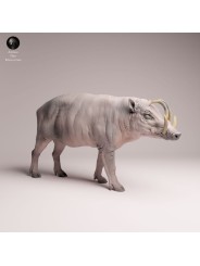 Babirusa Resin Miniature | Realistic Asian Wildlife Figure