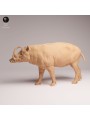 Jabalí Babirusa en Resina | Miniatura de Fauna Asiática Realista
