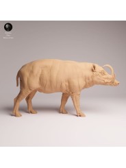 Babirusa Resin Miniature | Realistic Asian Wildlife Figure