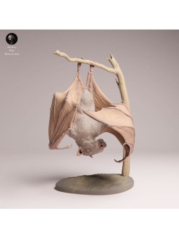 Hammer-headed Bat Resin Miniature | Exotic Wildlife Figure