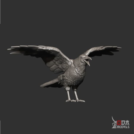 Cuervo alas abiertas