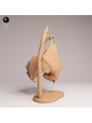 Hammer-headed Bat Resin Miniature | Exotic Wildlife Figure